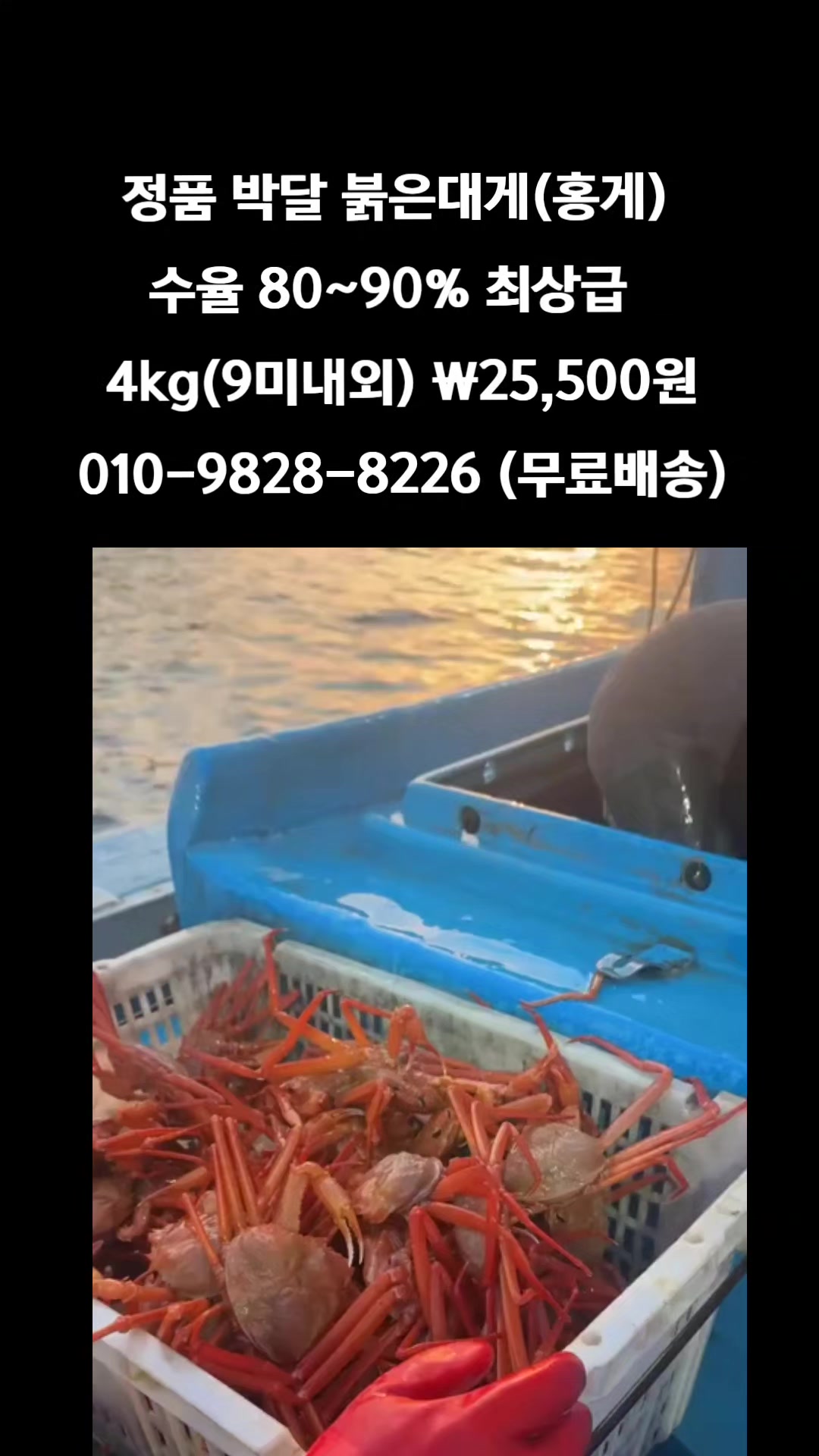 @똑손