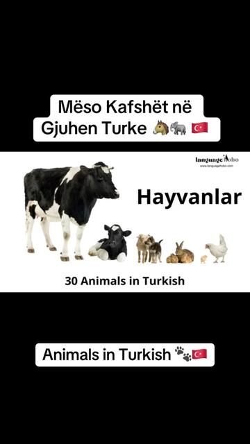 @Kursi Gjuhes Turke - Online