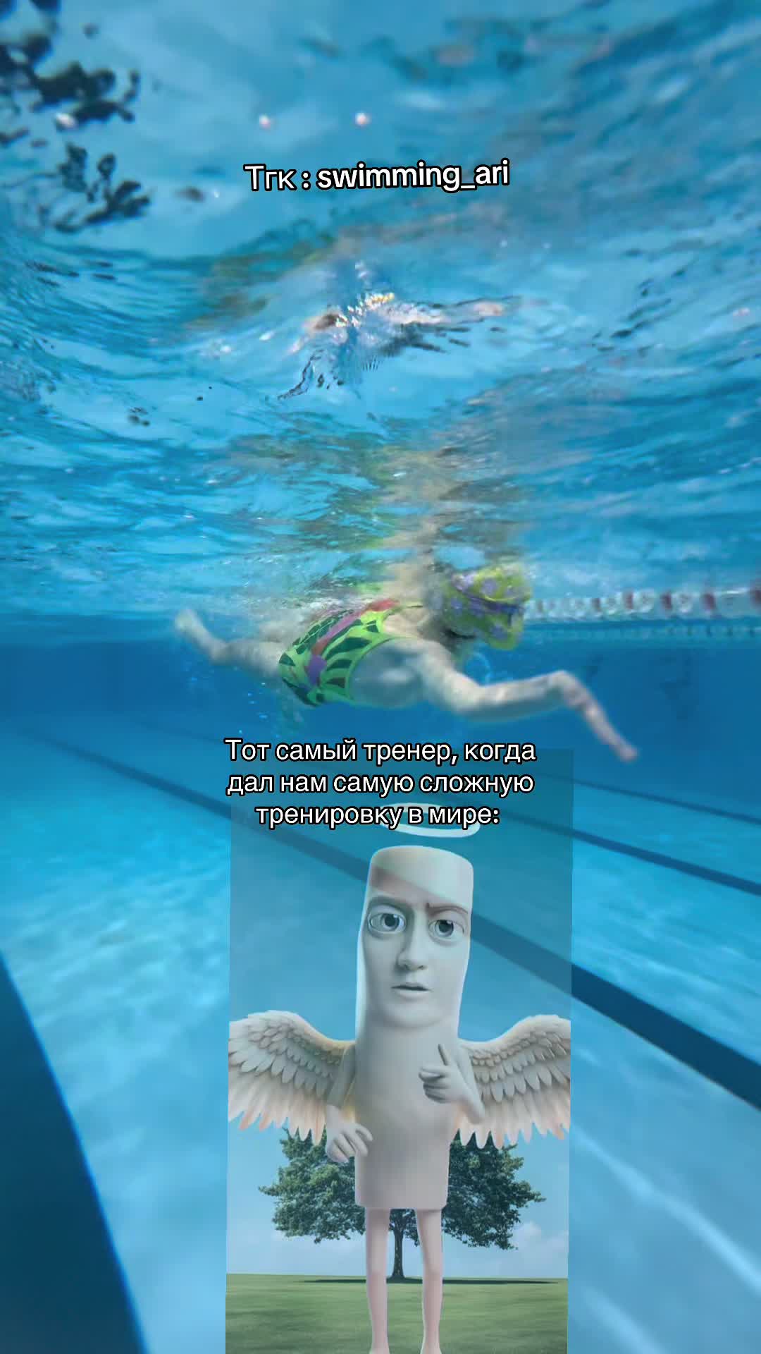 @ari.swimming💙