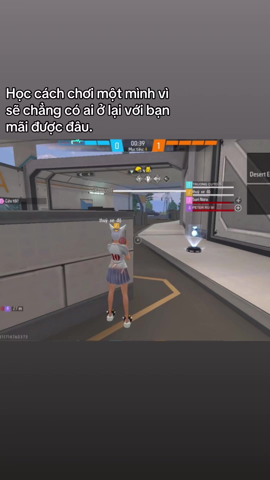 @mt