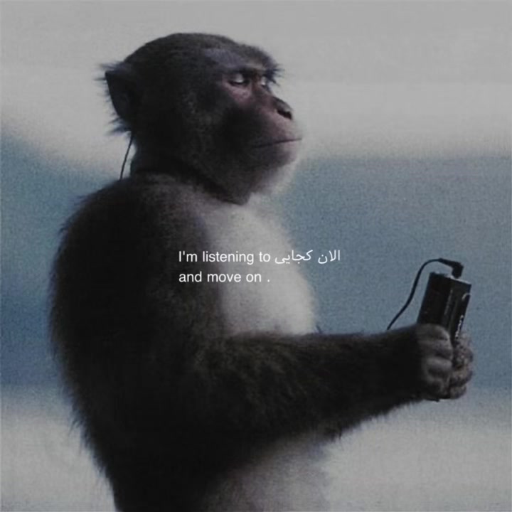 @dprmet