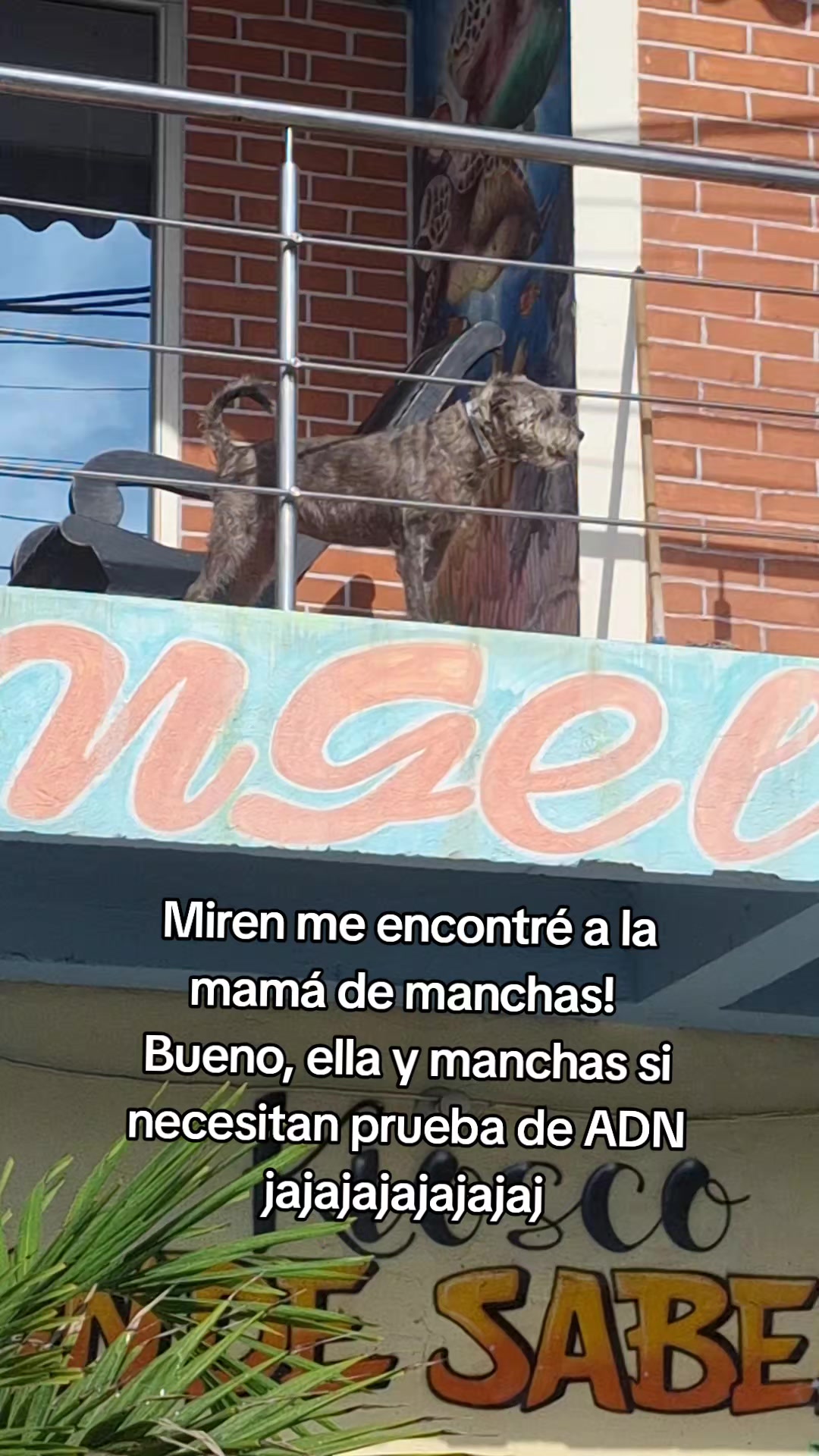 @MANCHAS 0714 OFICIAL