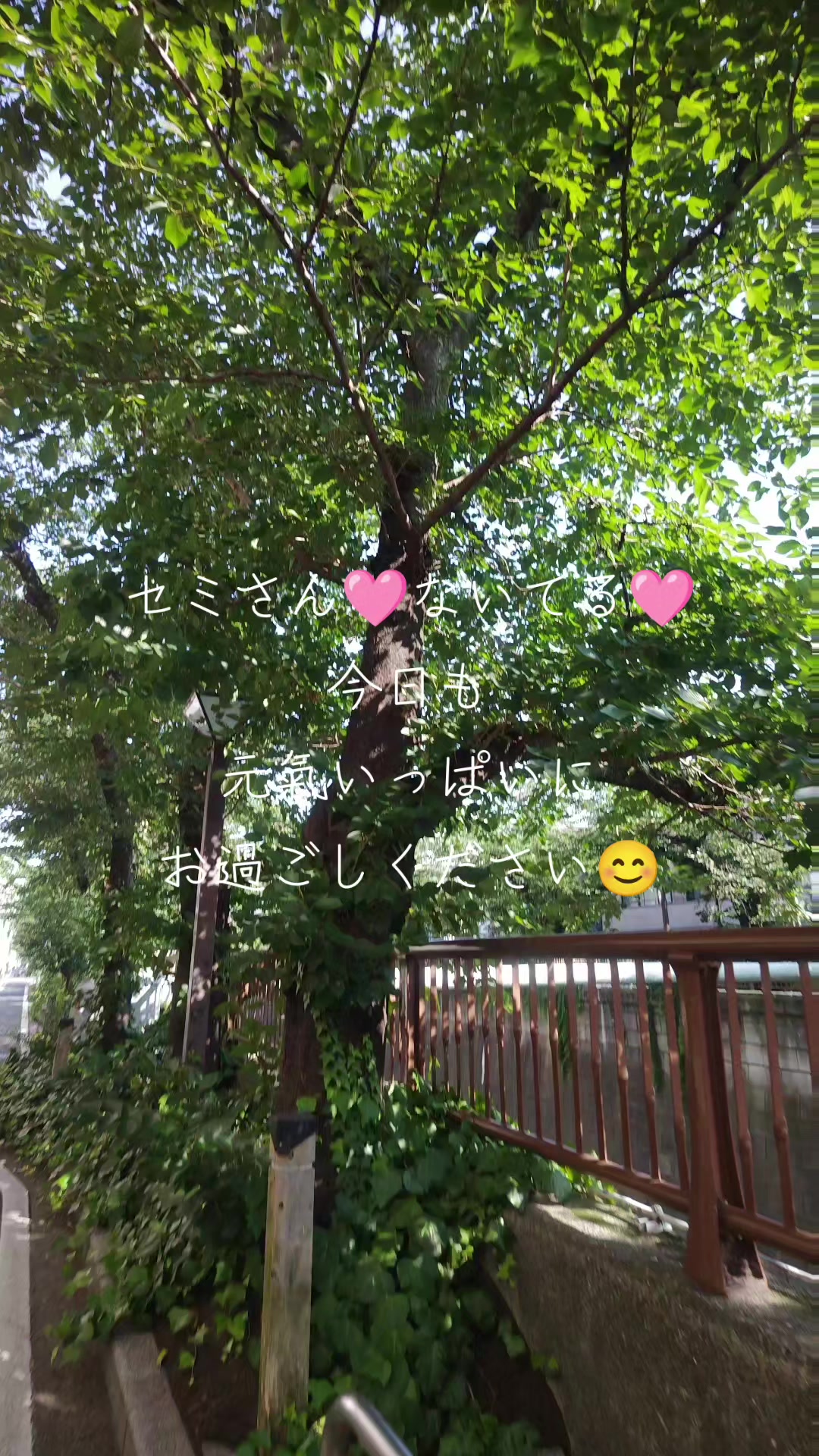 @ðºðžðžðððð¯ðµïœŽïŸïœš