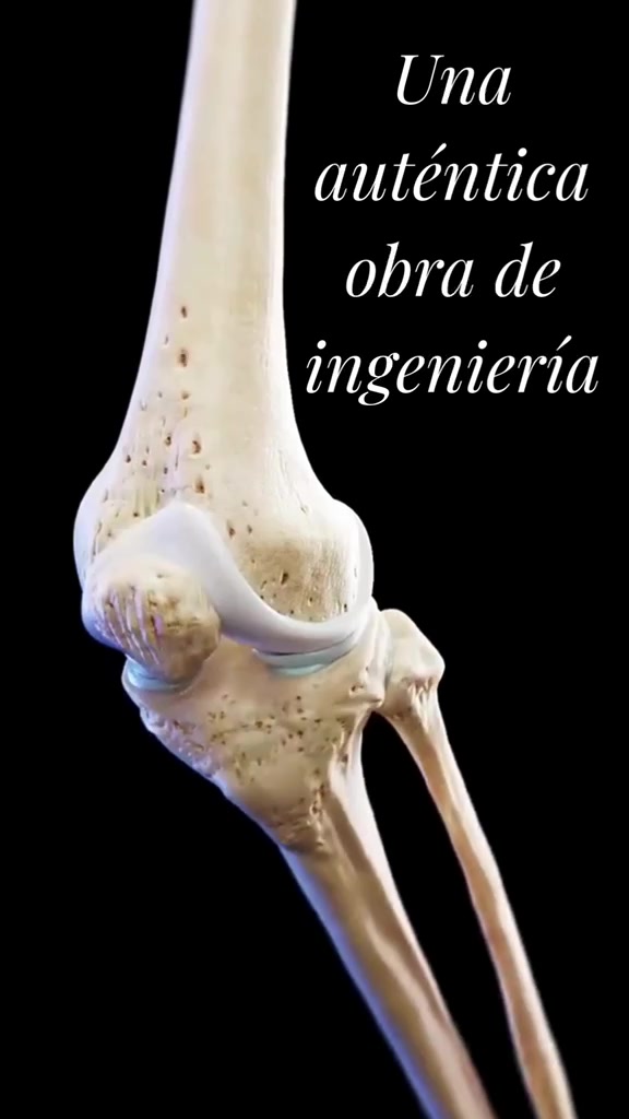 @Anunciando el Reino