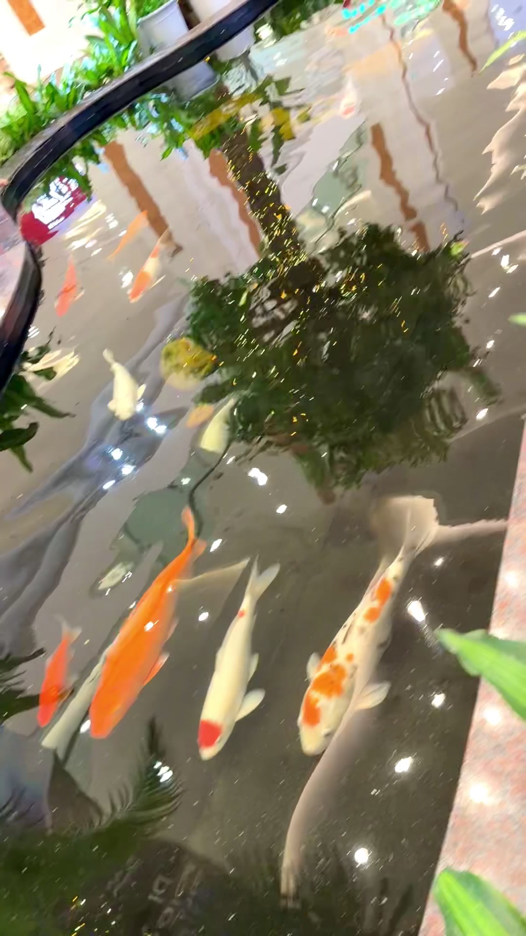 @Nhật Hạ An Nhi&ecirc;n