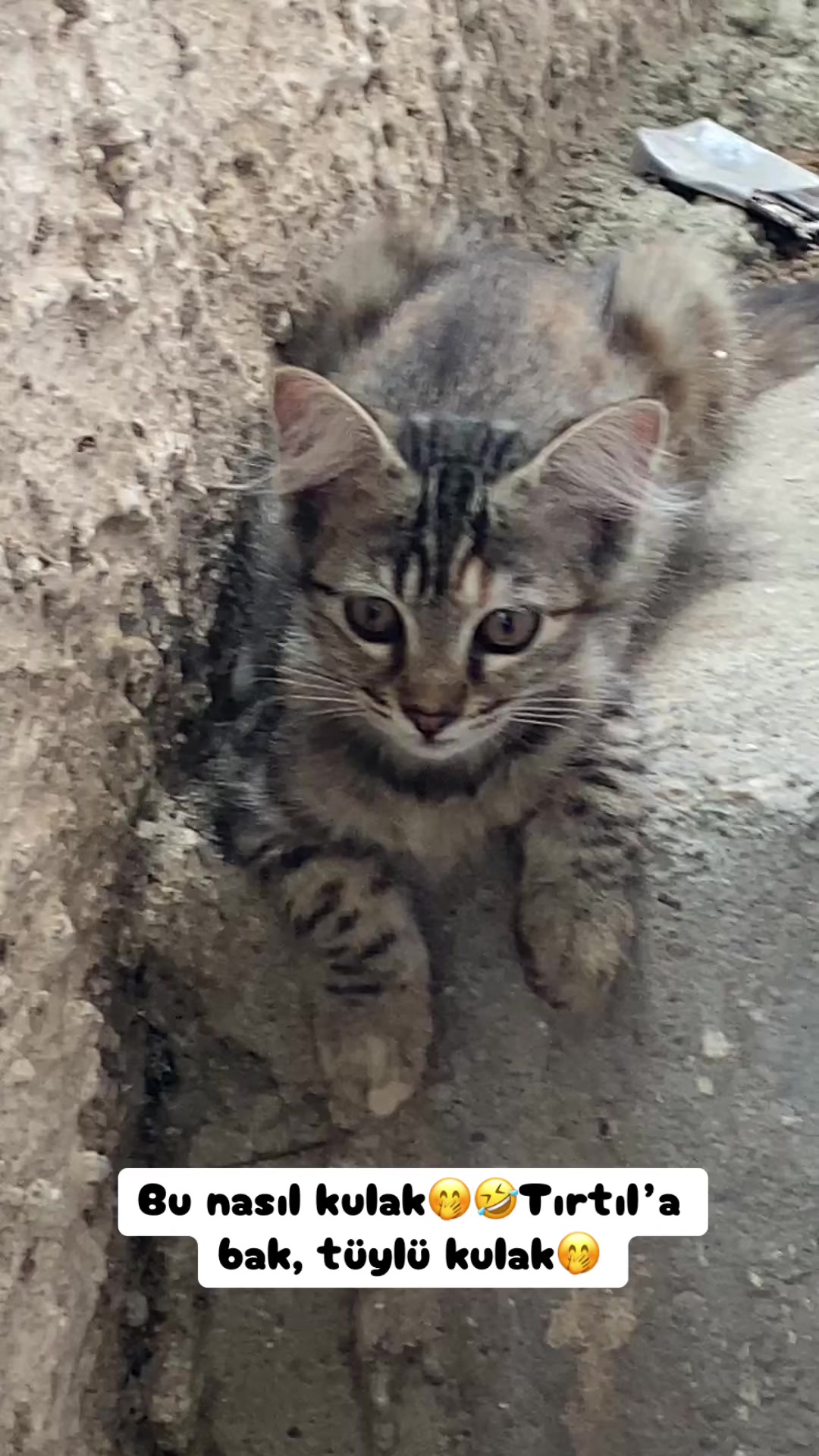 @Şapkalı Kadın