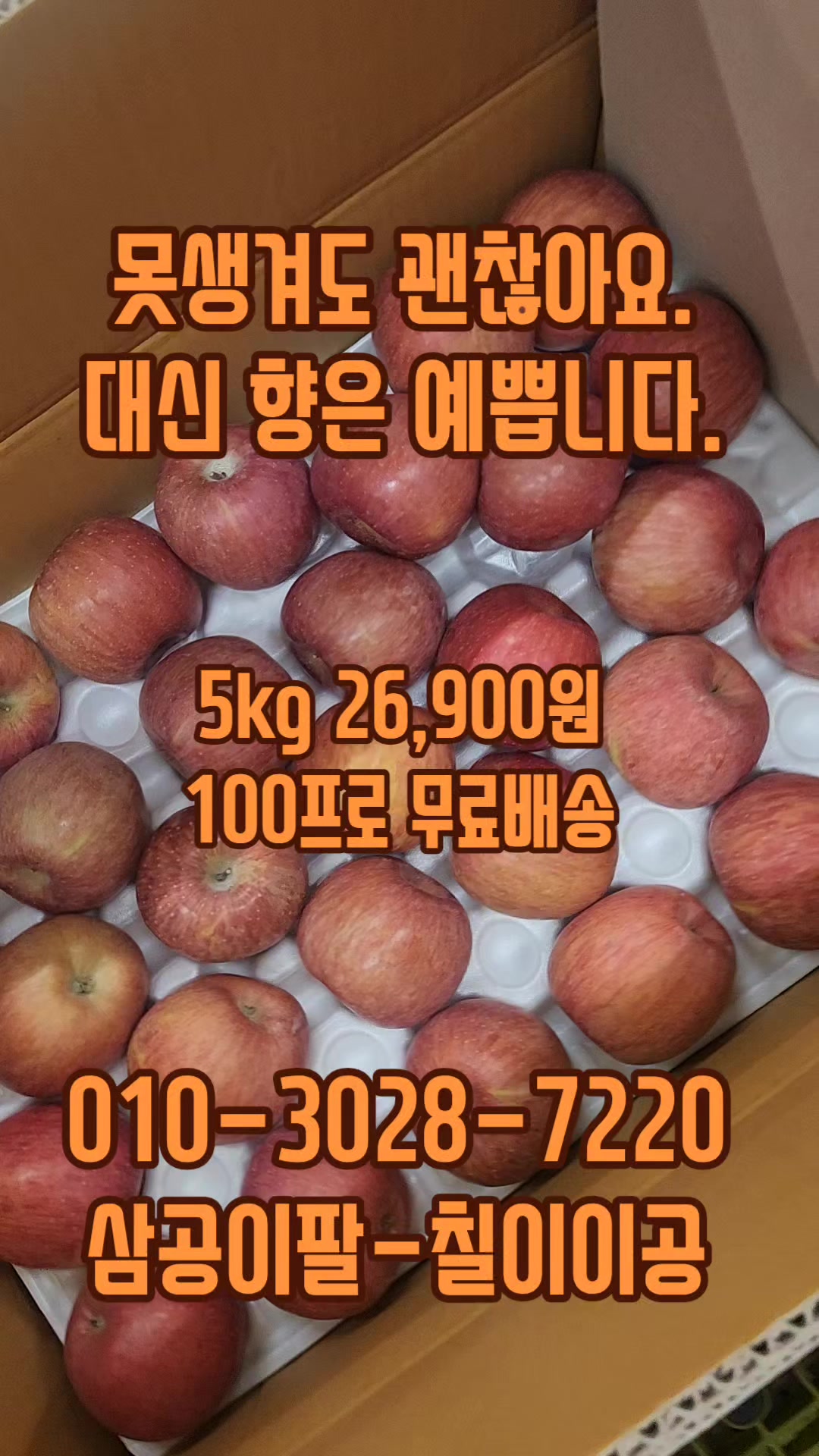 @새콤과일장터