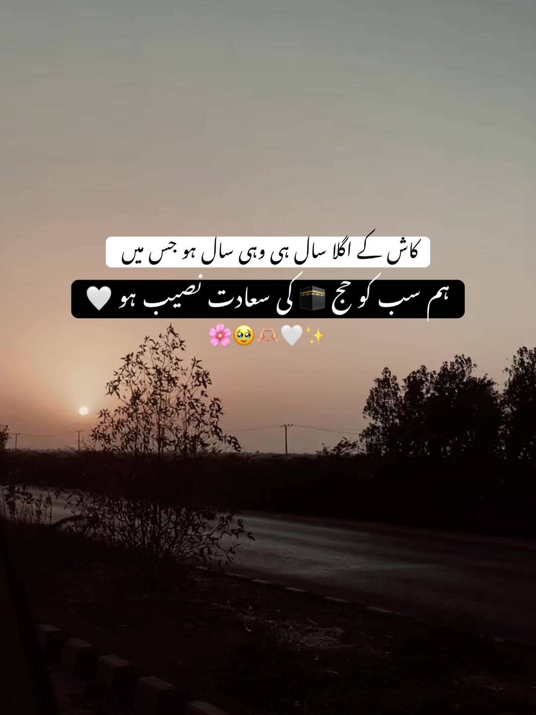@𝘏 𝘈 𝘕 𝘡 𝘈 𝘓 𝘈 🐼 ✓