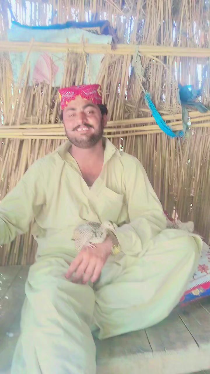 @Rahmtallah