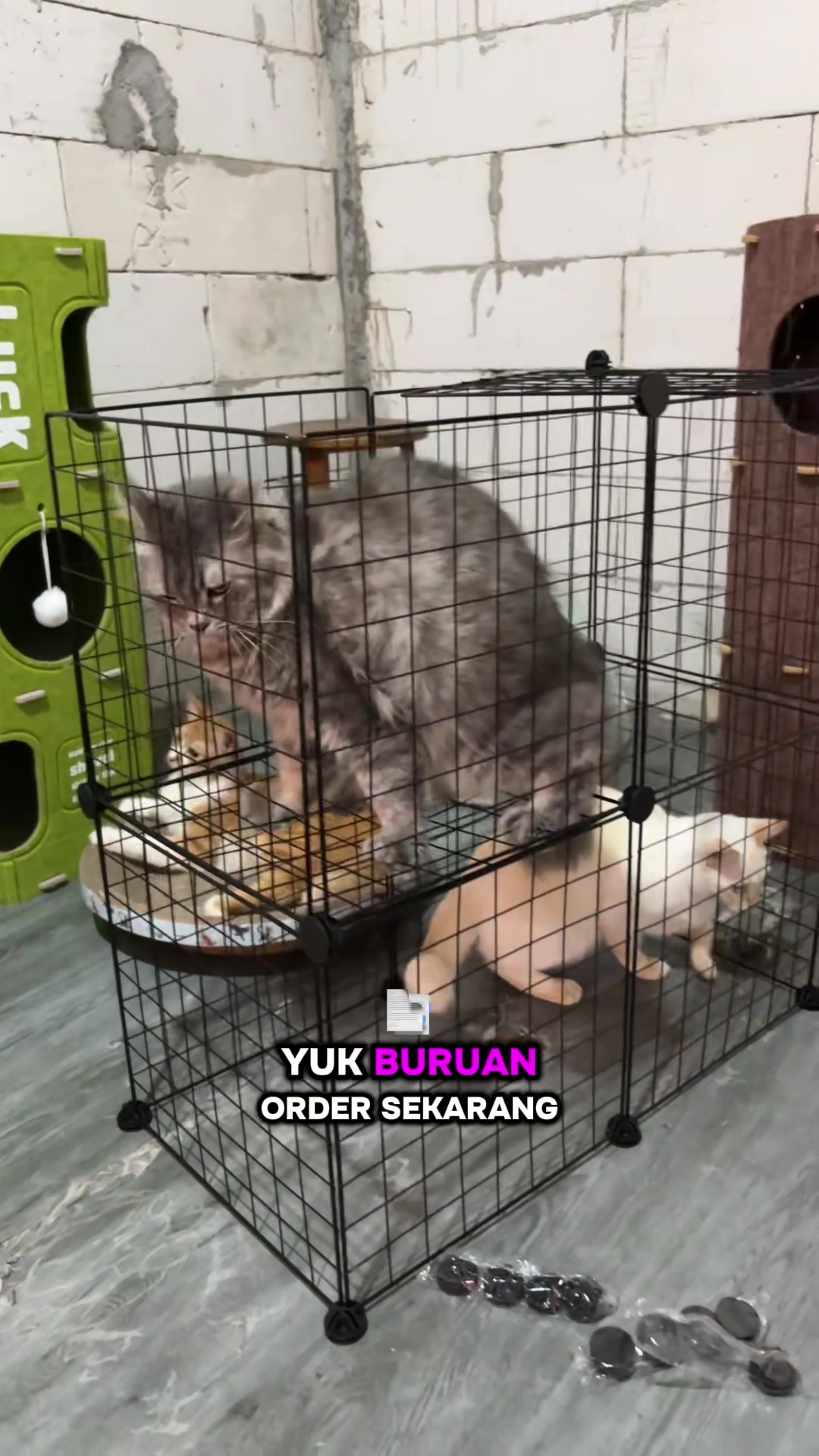 @BUMI ANABUL😺