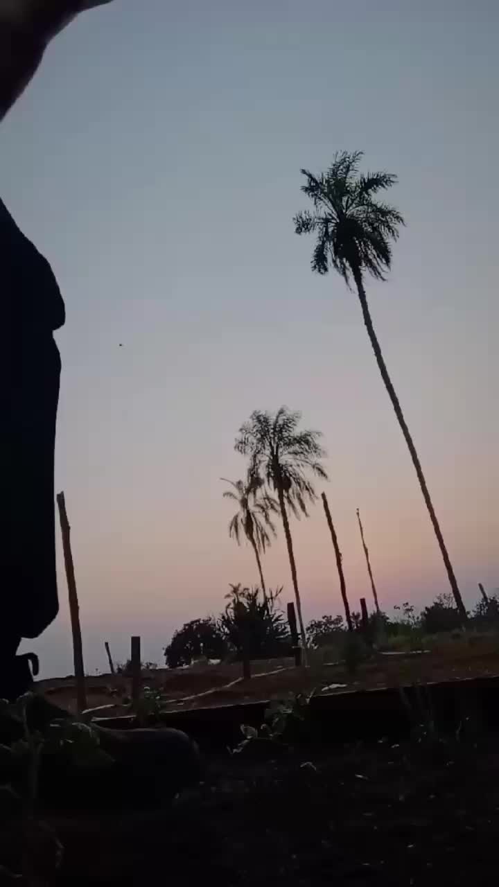 @Papi 📲🇧🇴