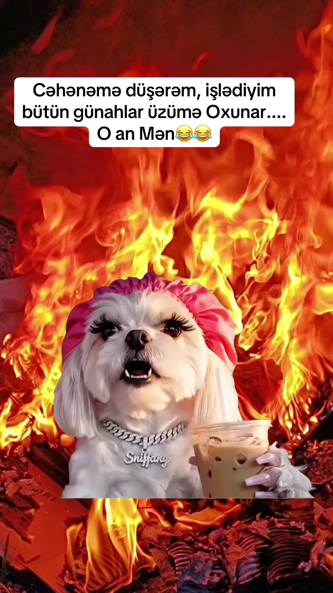 @♈️