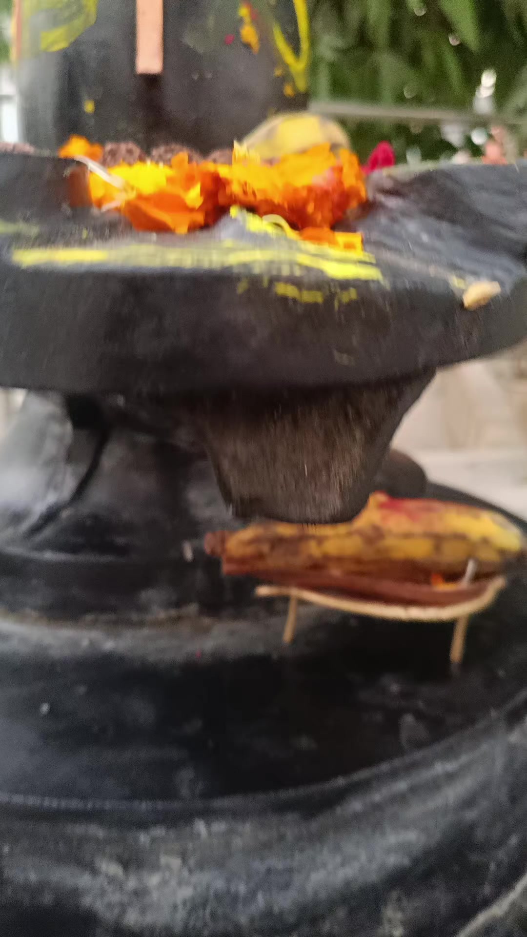 @sumitbhagat507