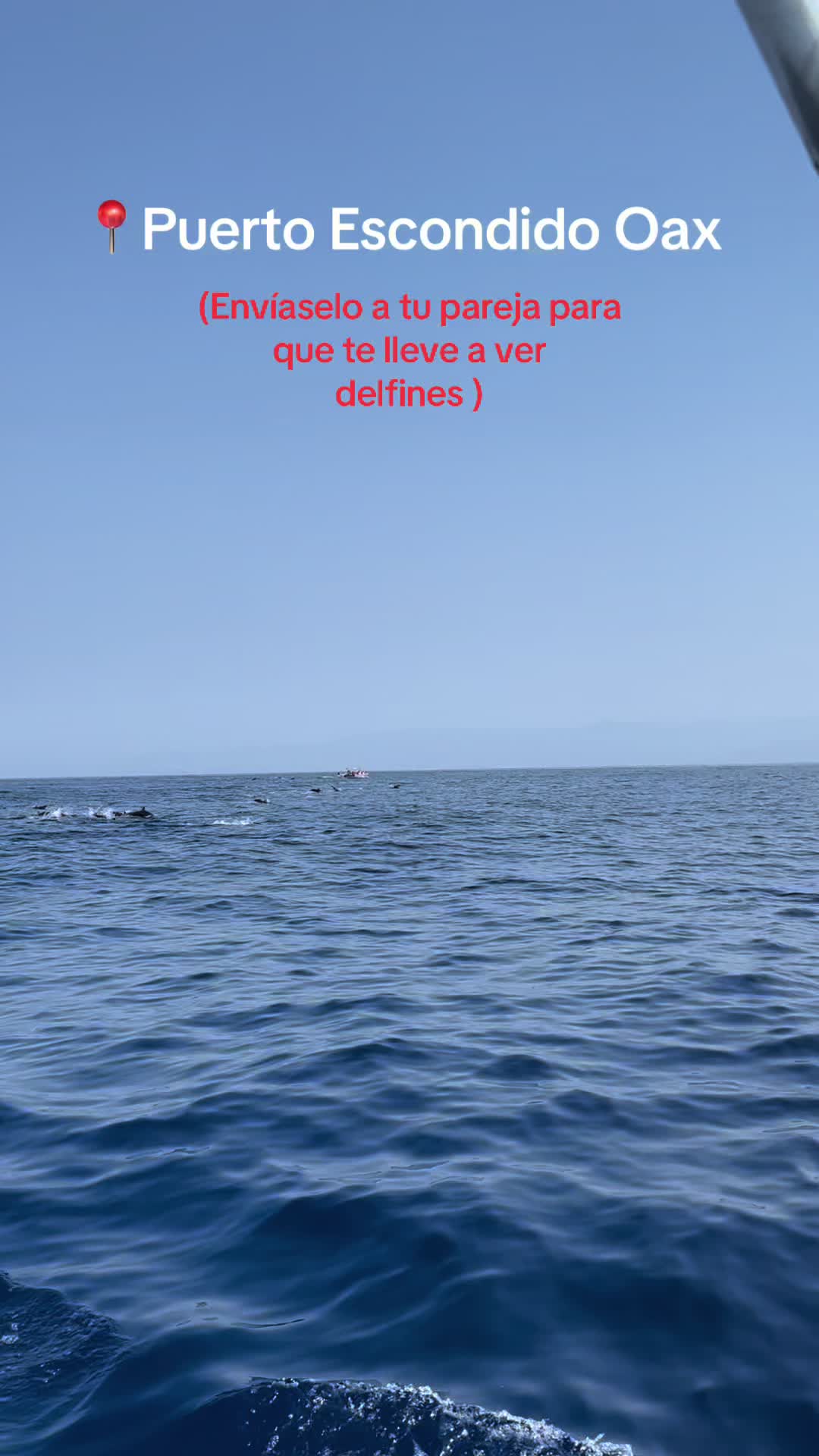 @Angel Mar 🐬🐳🎣