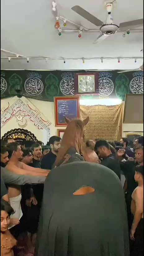 @مرکزی ذوالجناح تلہ گنگ