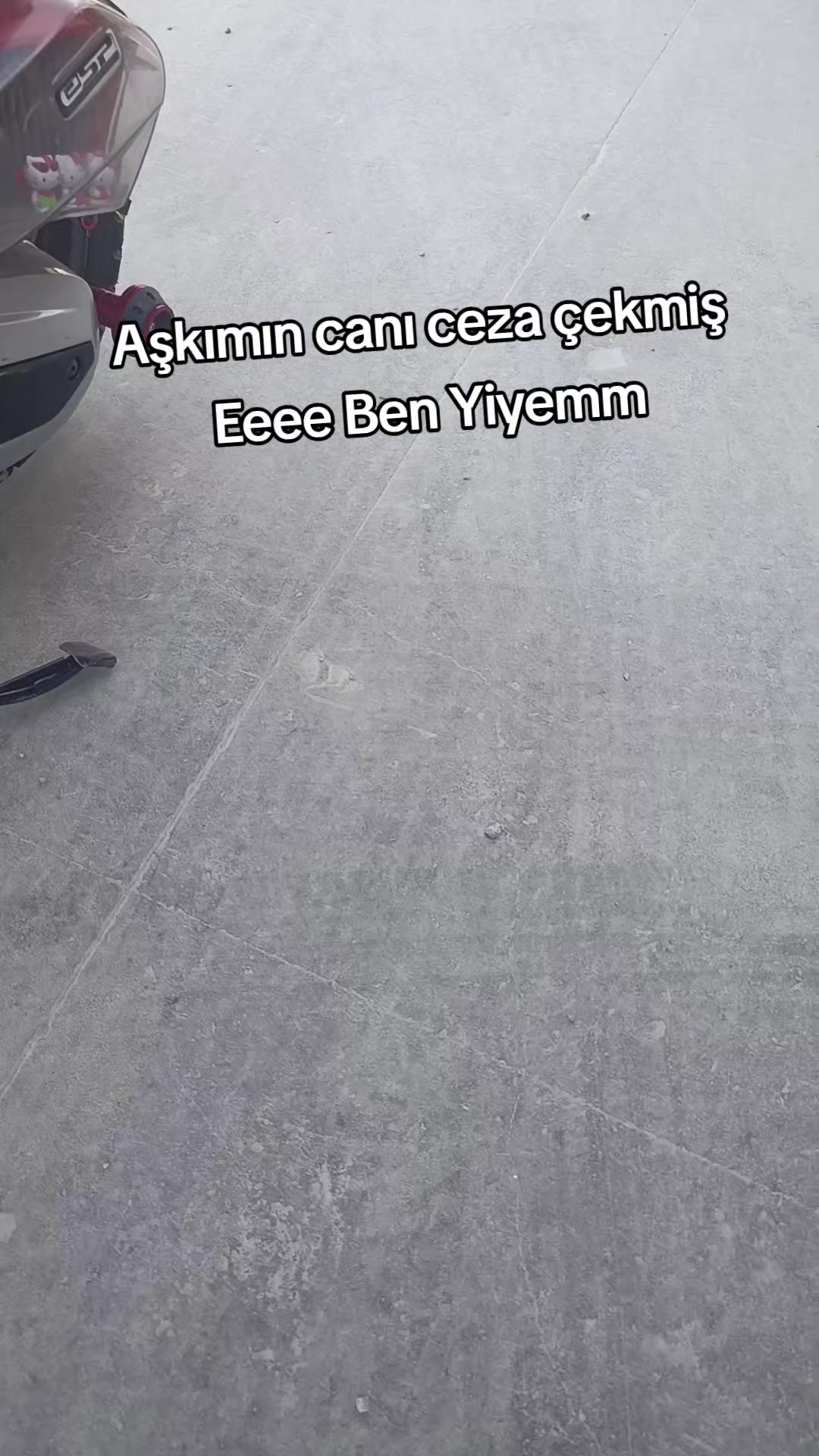 @İlayda Adnan Canavar
