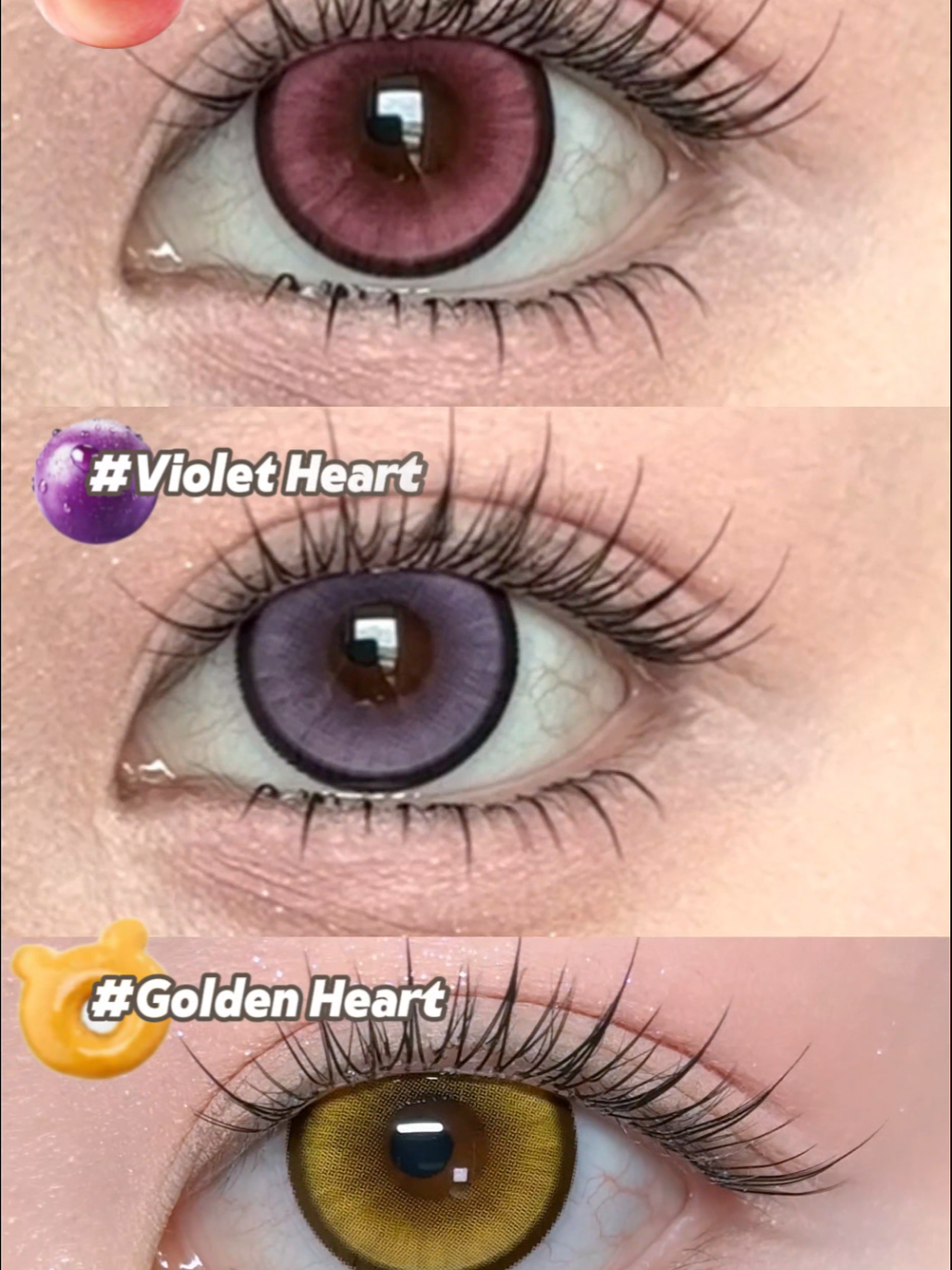 @sigocontacts_official