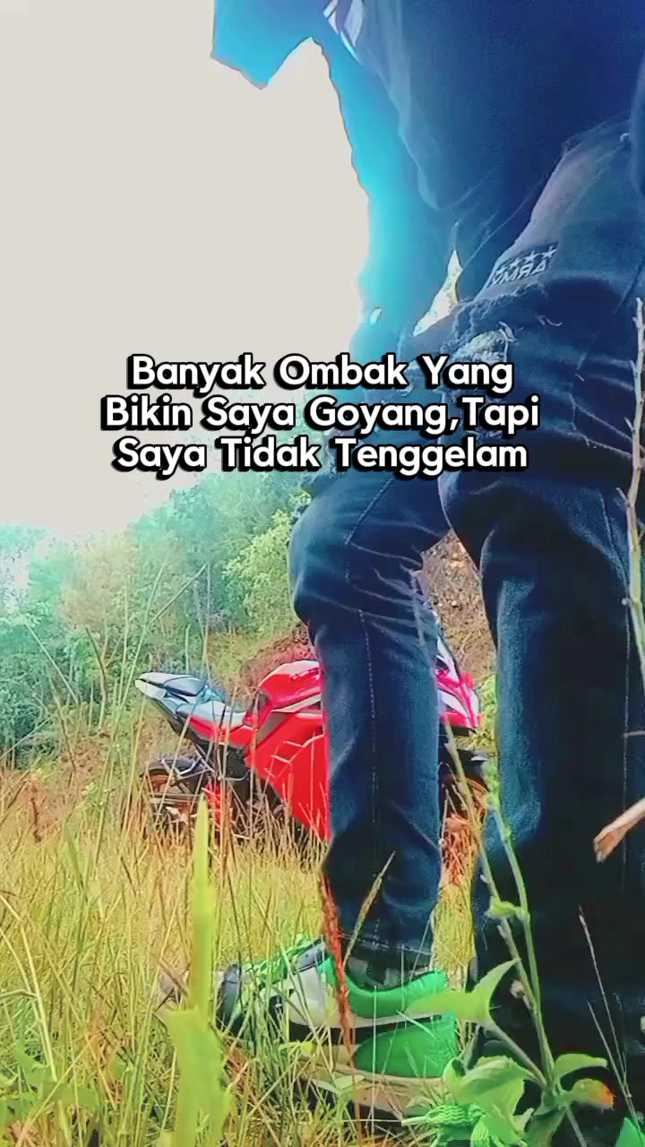 @ari stor