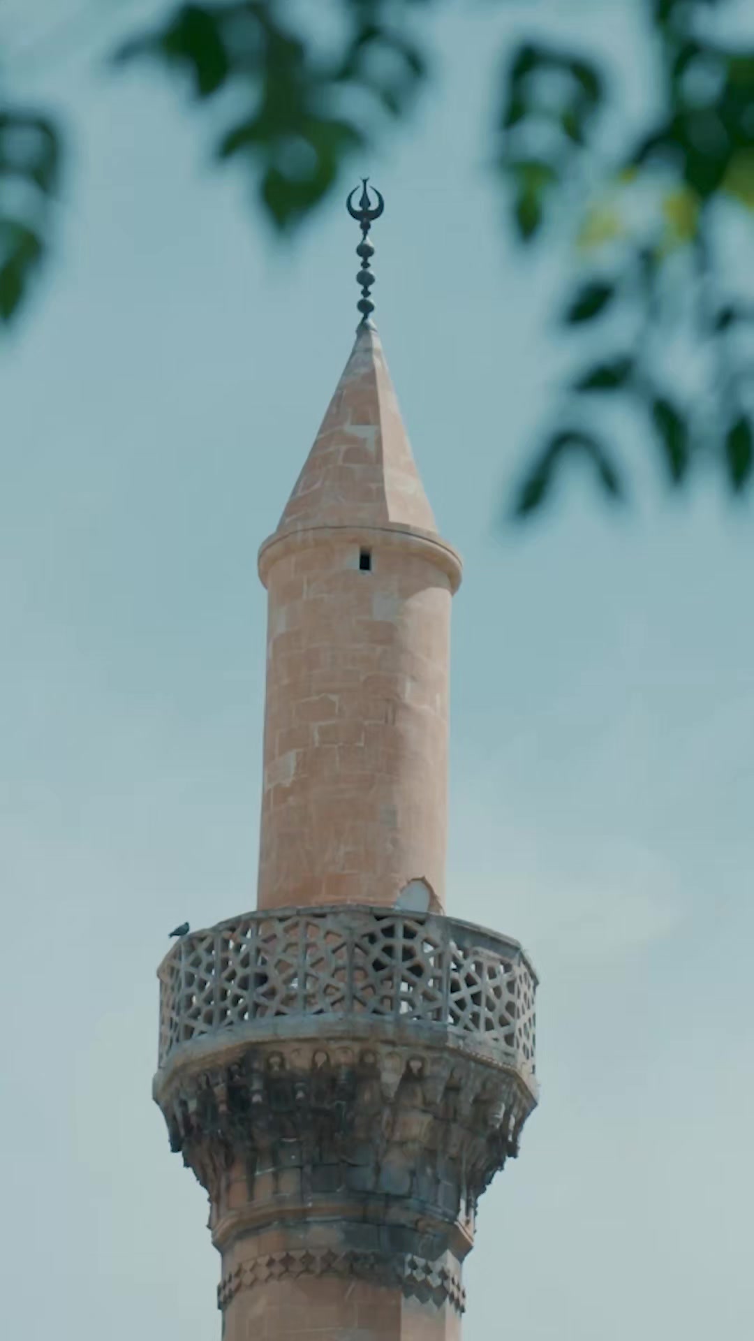 @Mehmet İlhami G&Uuml;NBEGİ