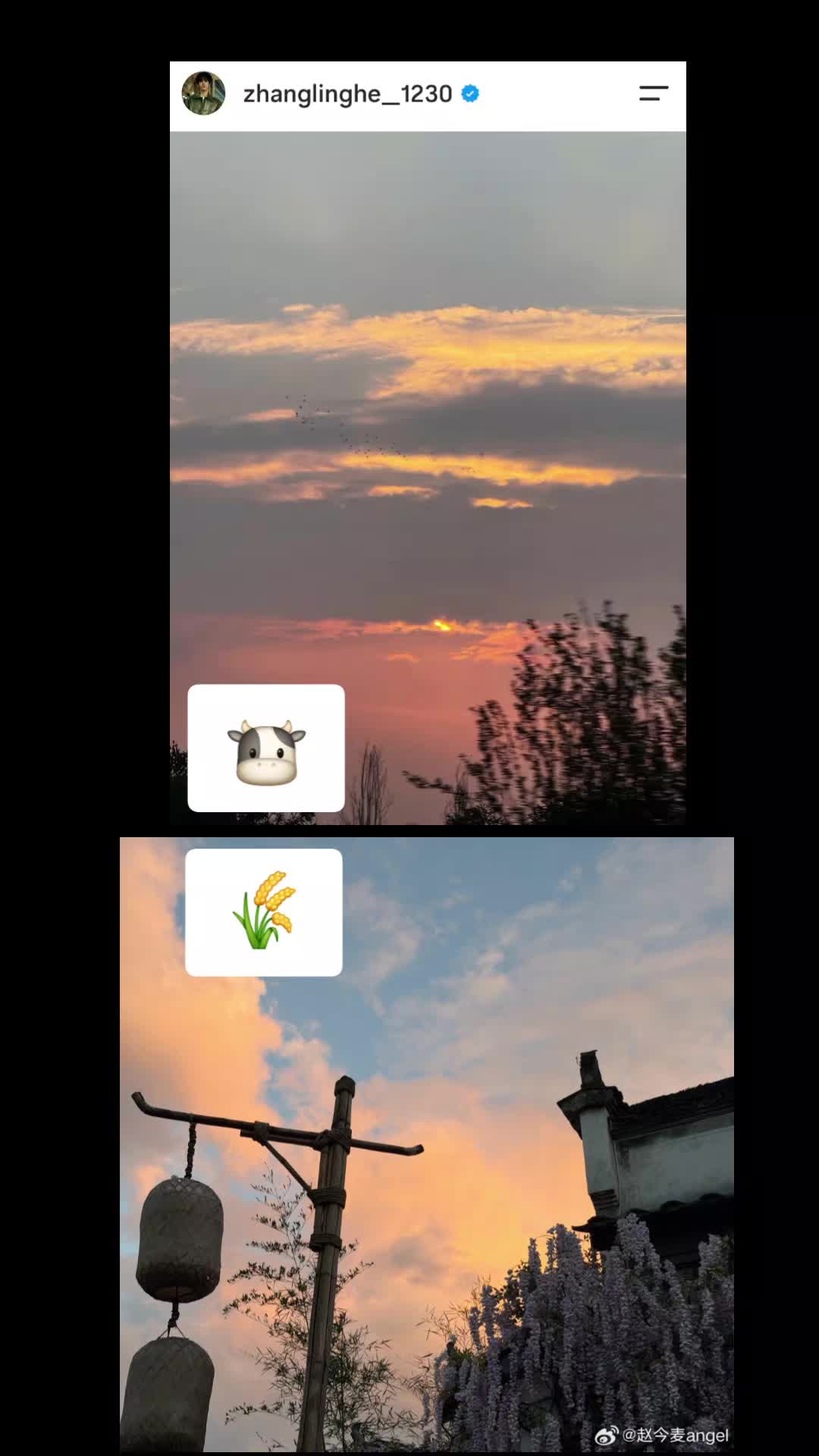 @andabay
