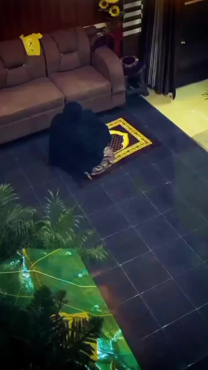 @𝗠𝗔𝗔