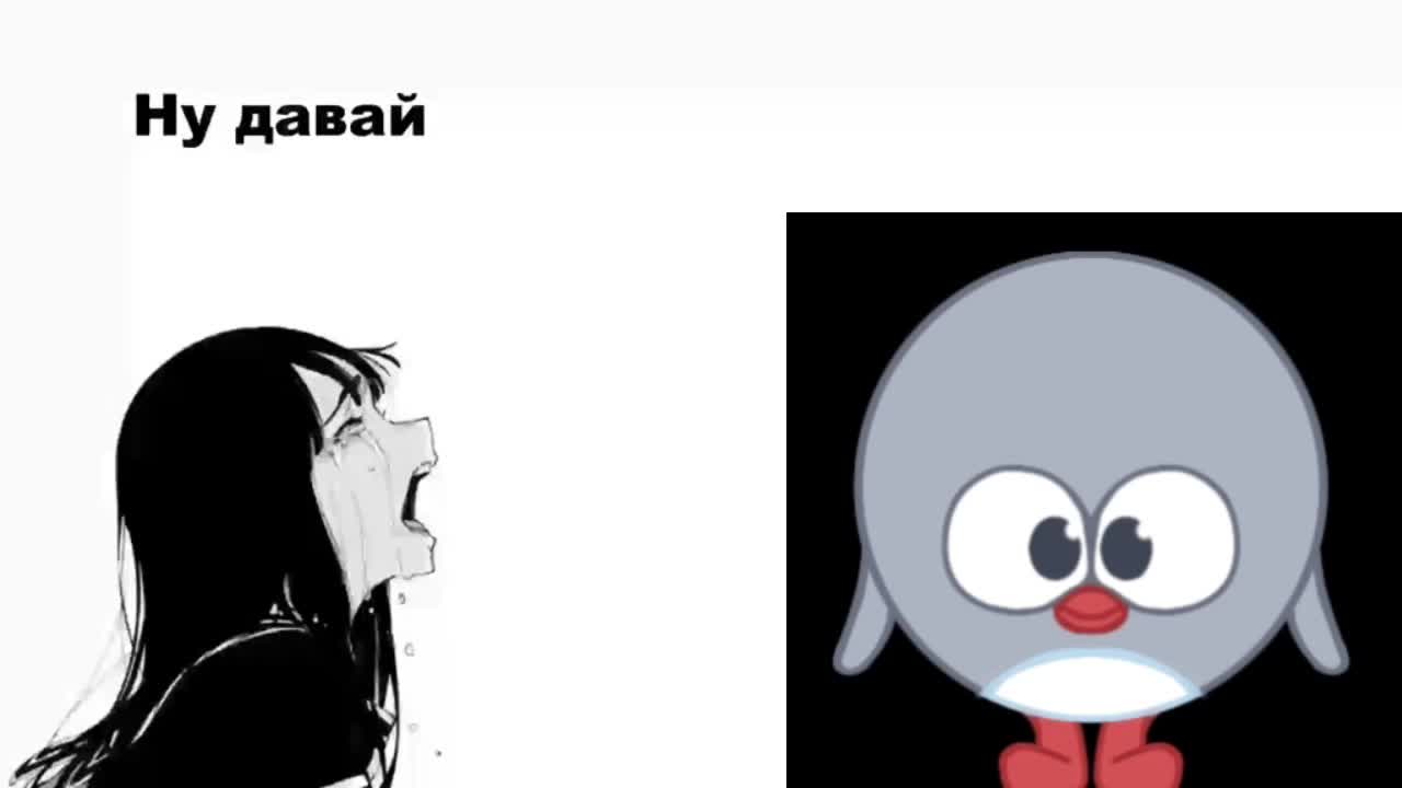 @лягушка манго💀
