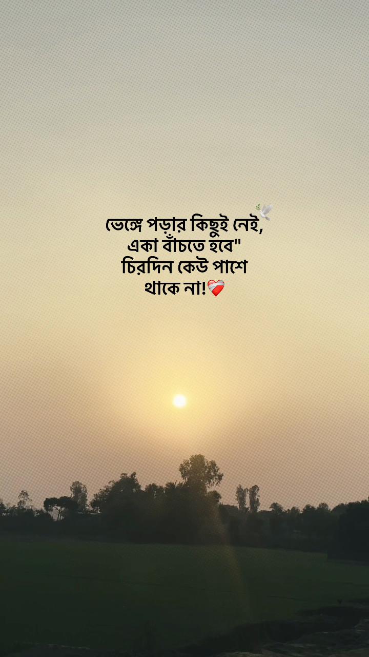 @-ᴅᴀɪꜱʏ-🌼