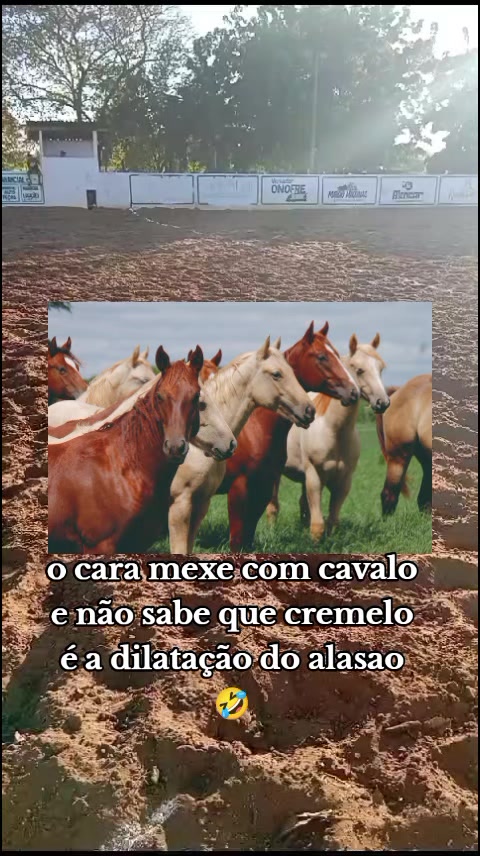 @Kauã Gabriel
