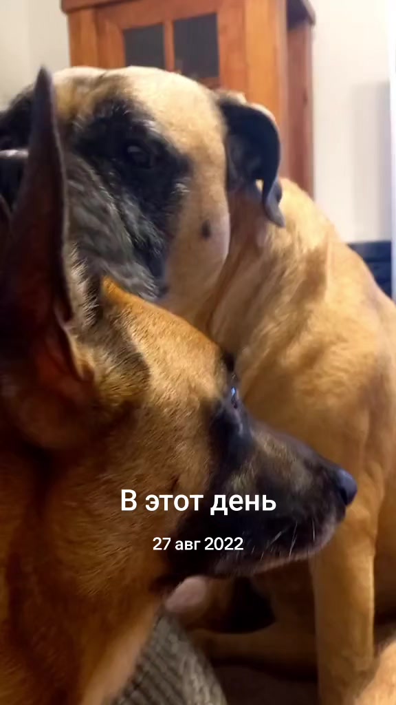 @Владимир
