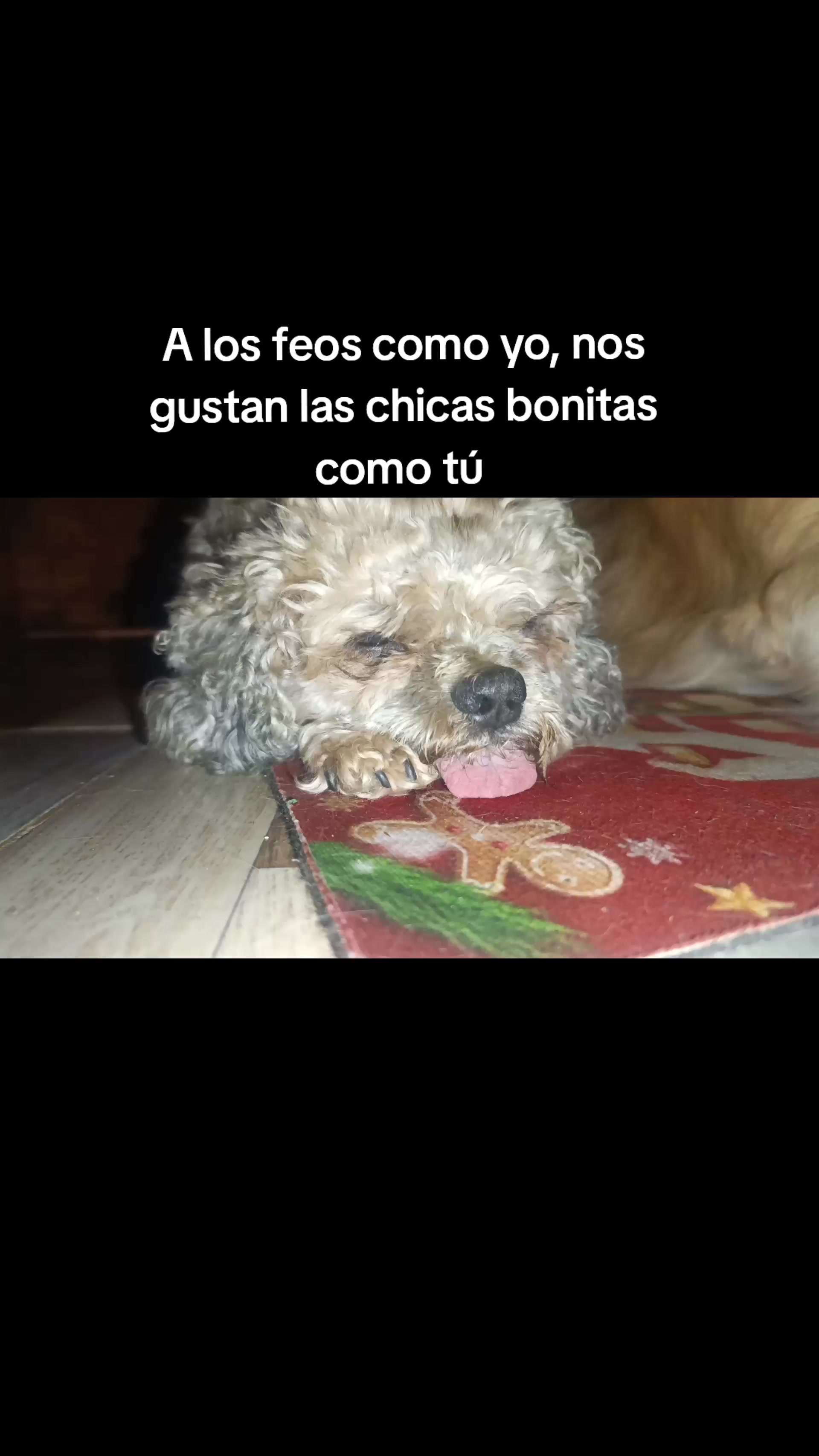 @Joe Flores Solis