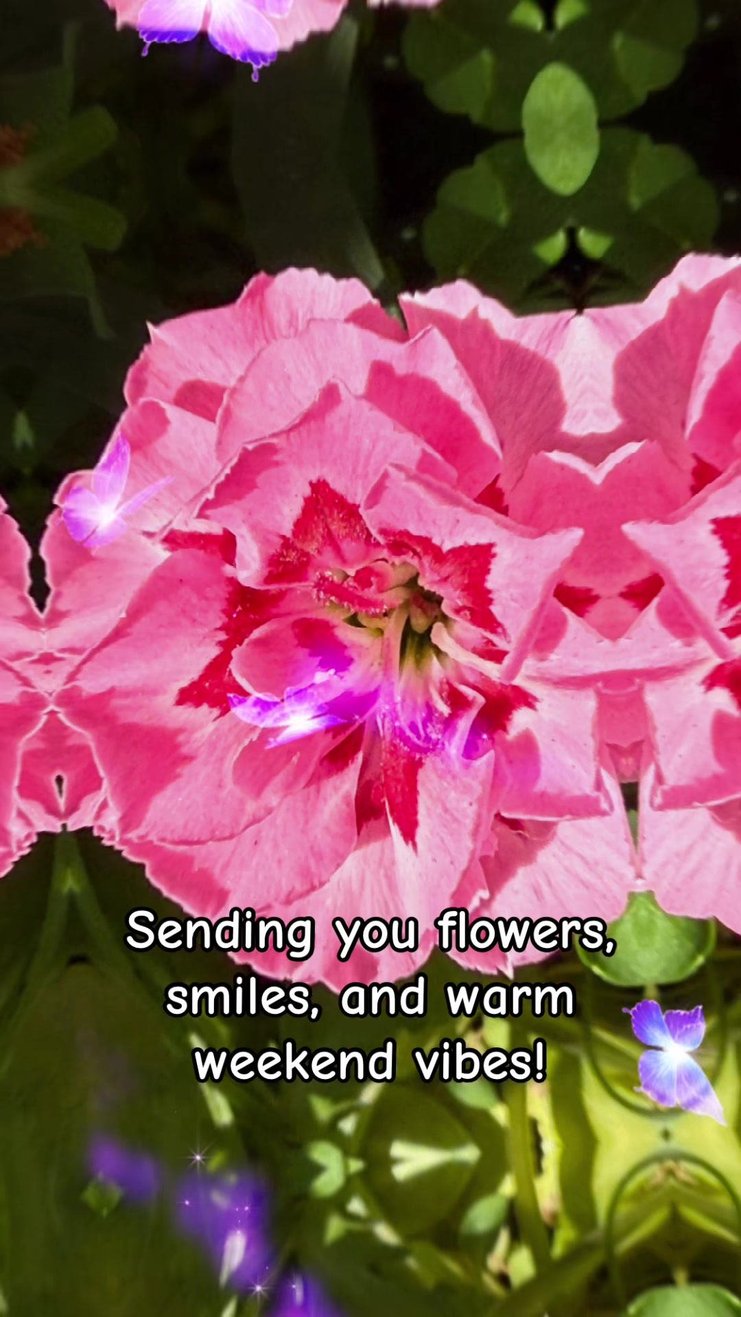 @Bloom Therapy