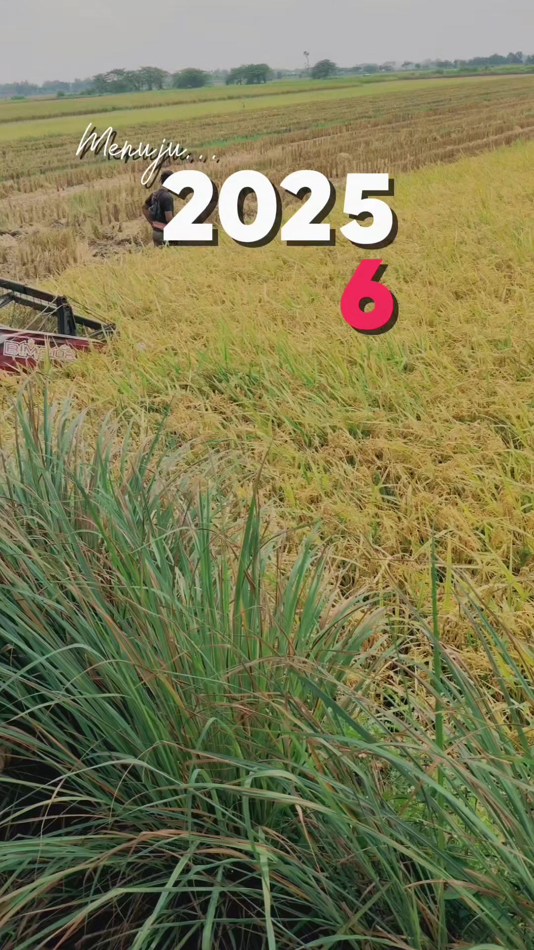 @suroyo88