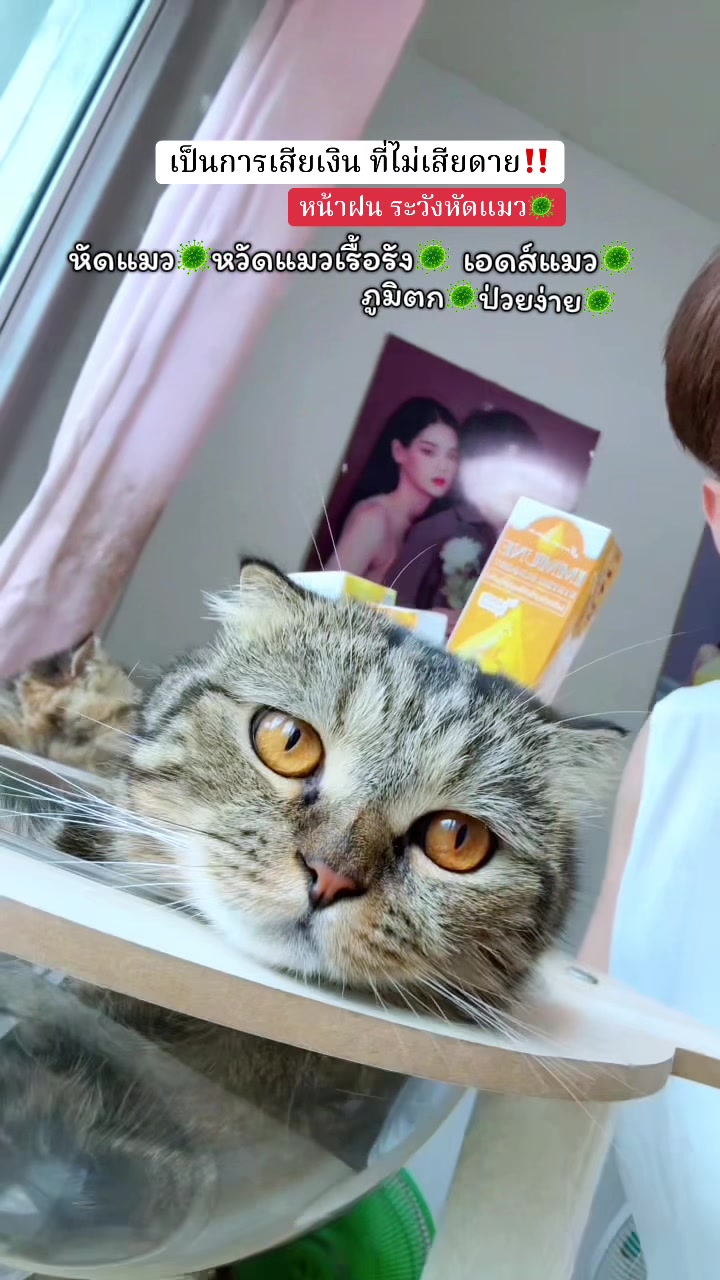 @ตาต้น กับลูกๆทั้ง20ตัว🐈