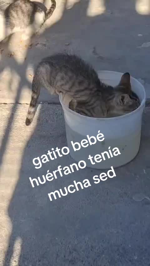 @Isabel Hernández