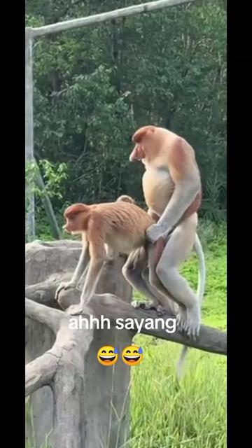 @DUREN-99😎🔥🔥