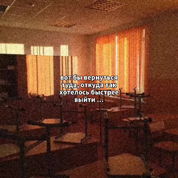 @bubufacts