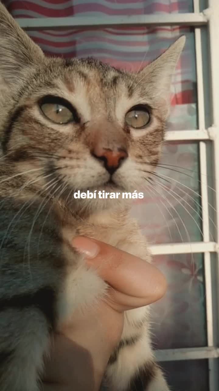 @𝖄𝖚𝖓 𒉭