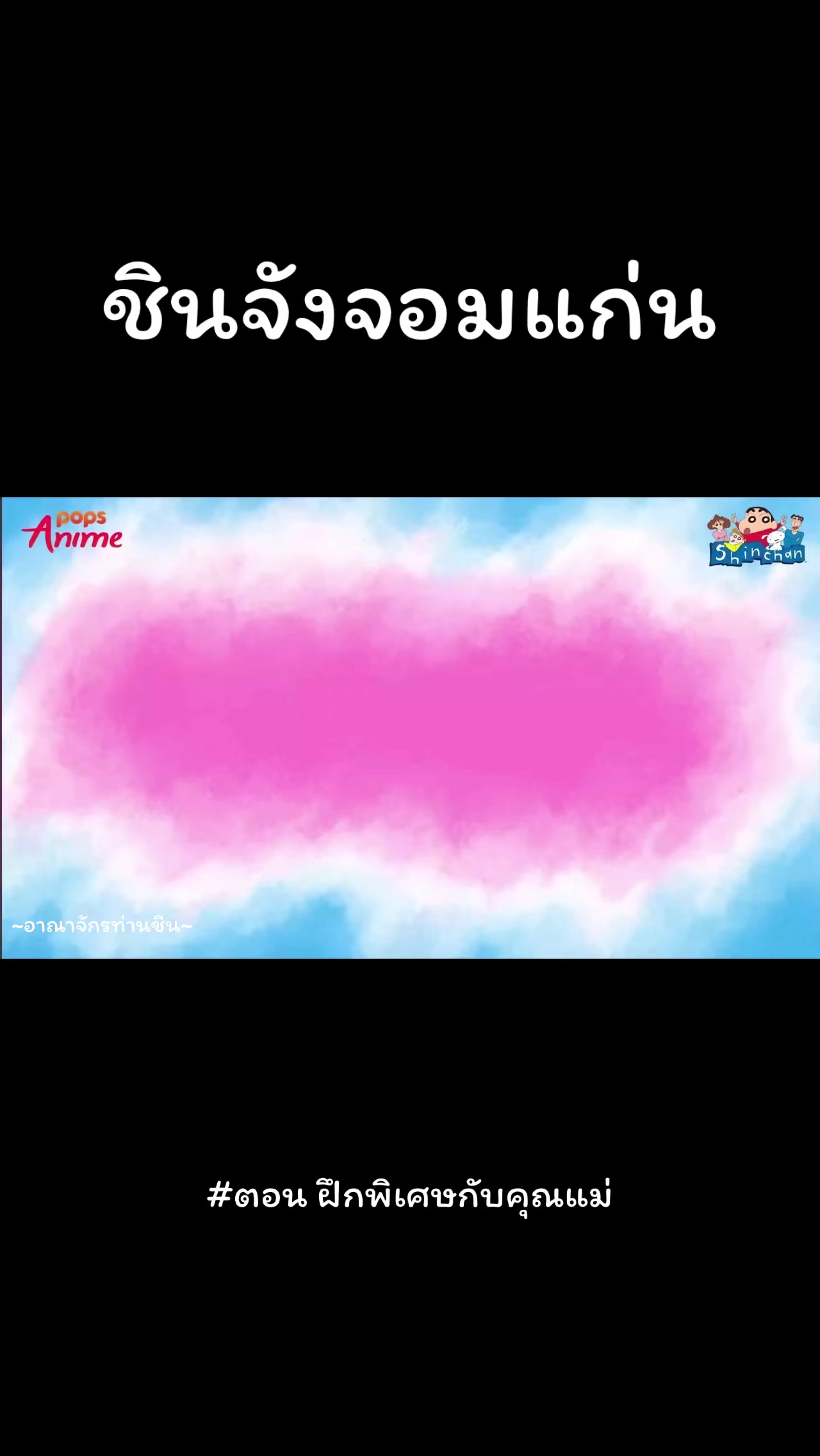 @~อาณาจักรท่านชิน~