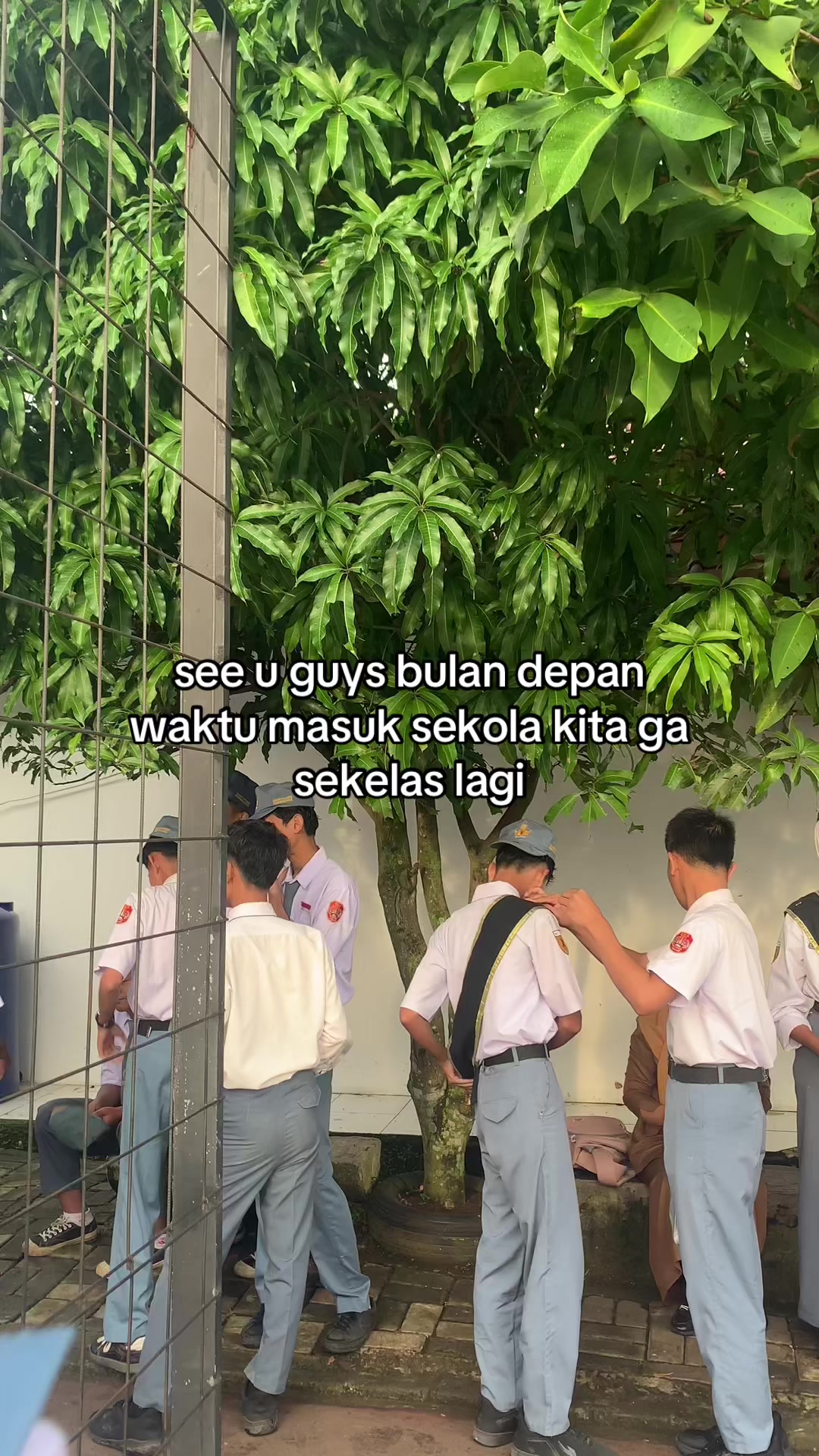 @ofc.xnine smanple