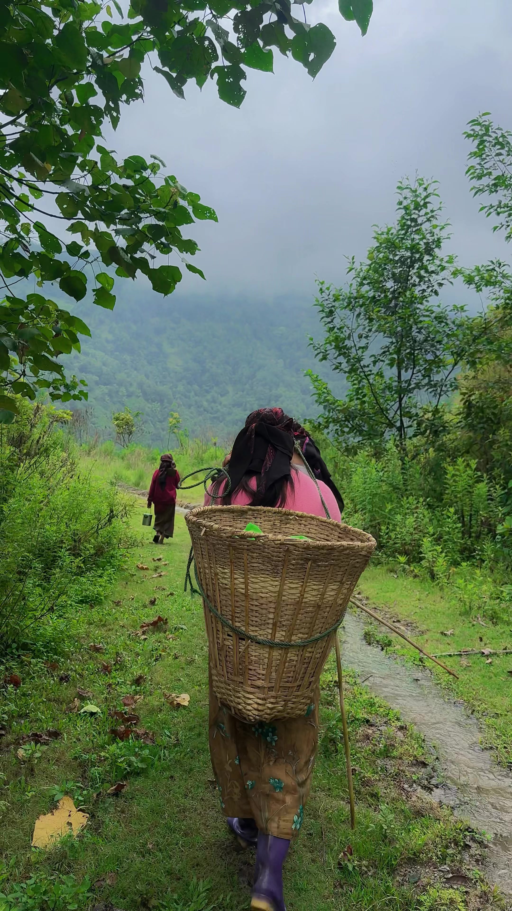 @Bishu Gurung