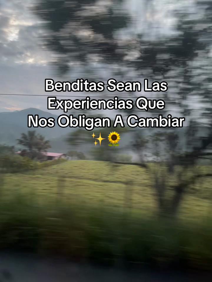 @QUITIAN EIVAR