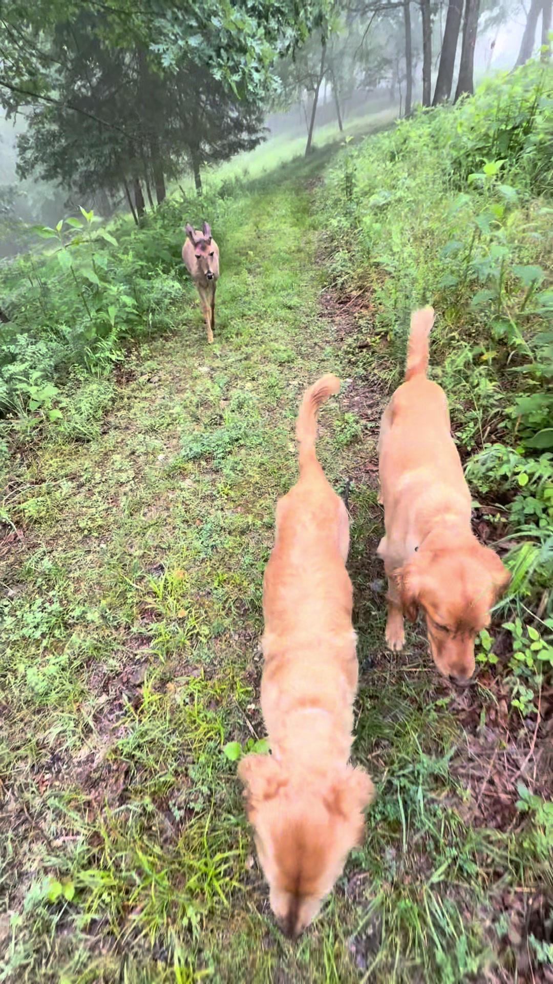 @Brownhikingtrails