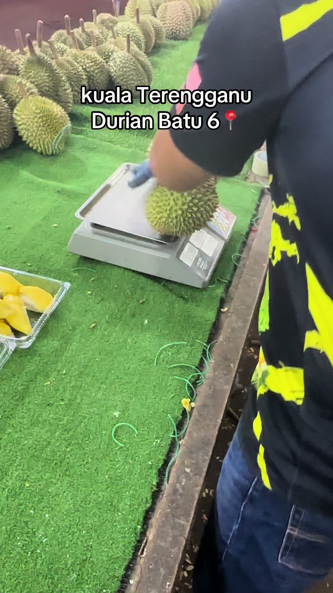 @Durian Batu 6