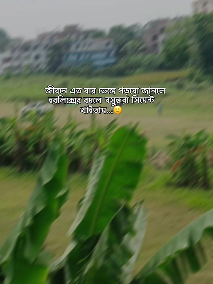 @প্যাঁচা..🦉
