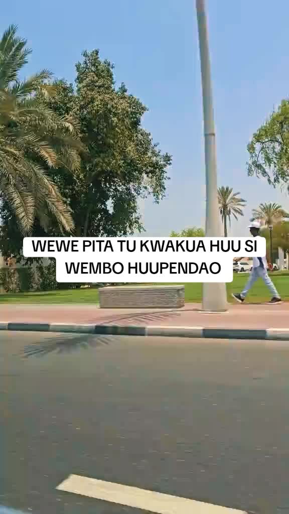 @SINOG jr
