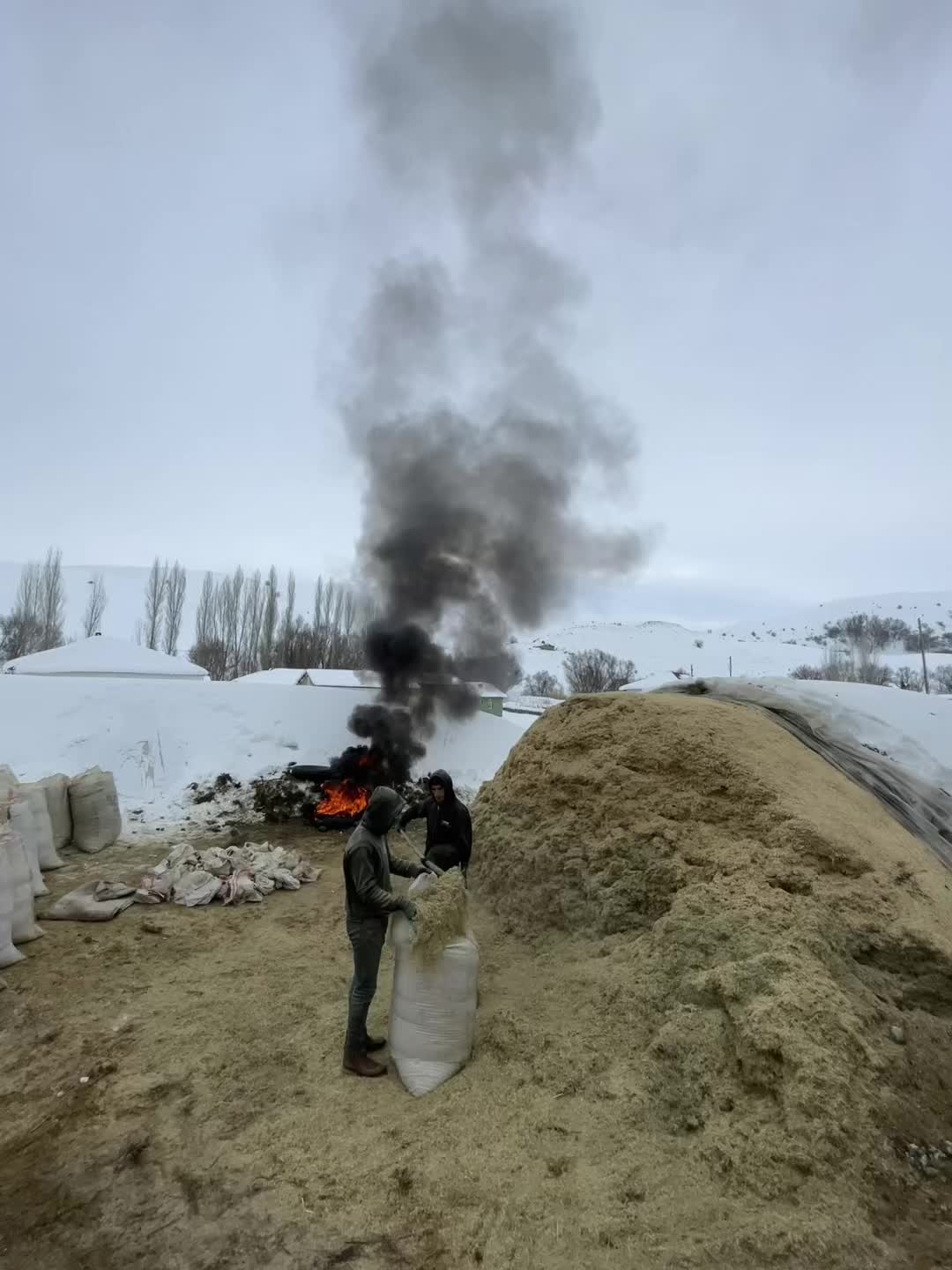 @savaş