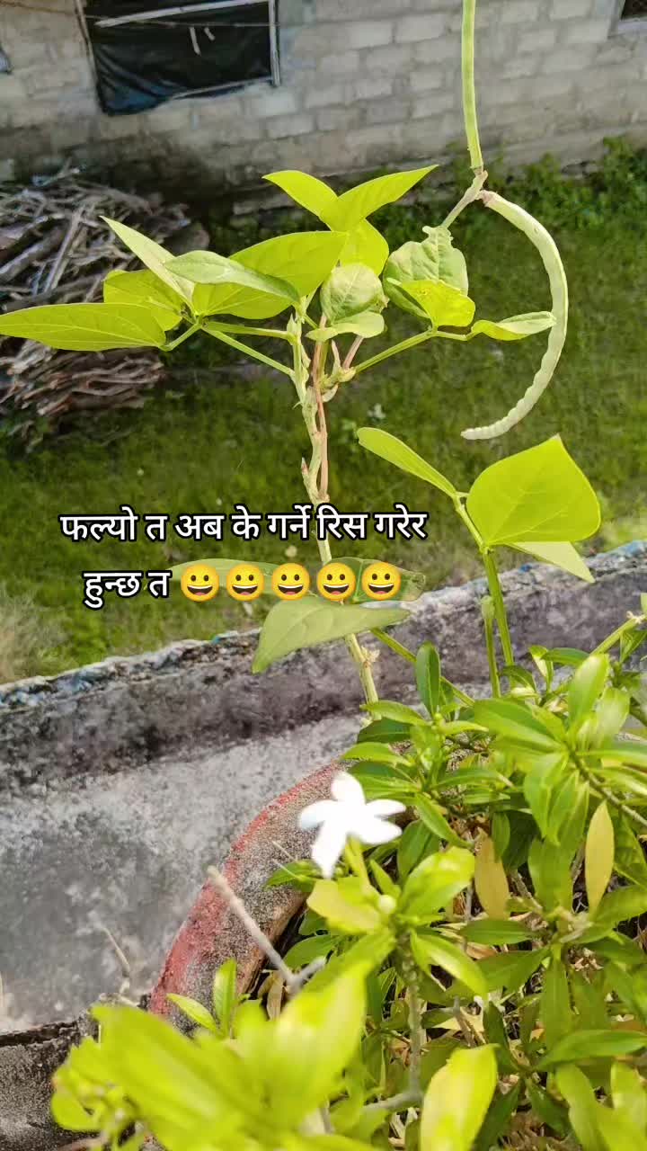 @Anu❤️Devi😘Aardeep😘