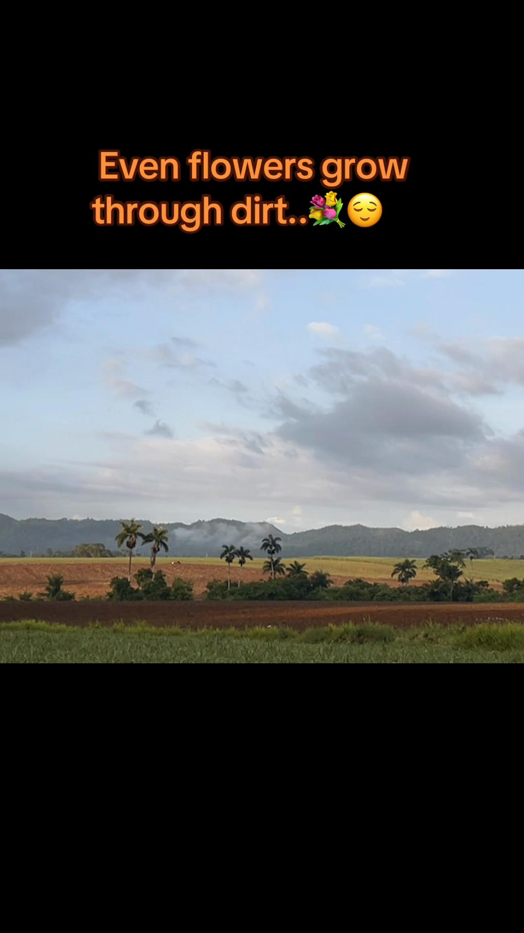 @CALI❤️🇯🇲