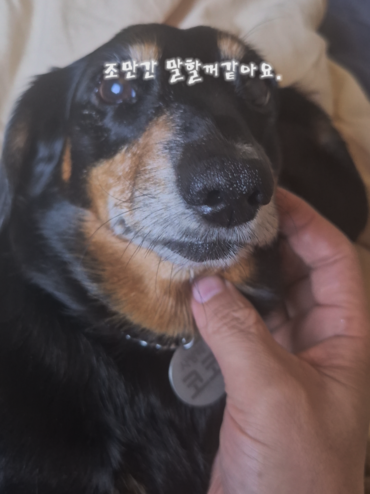 @코코대디