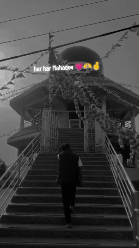 @꧁༺WA₦TED_𝕄𝔸𝔽𝕀𝔸༻DON꧂